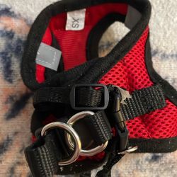 Pet Accessories ( Harness/ Collars/ Leash) 
