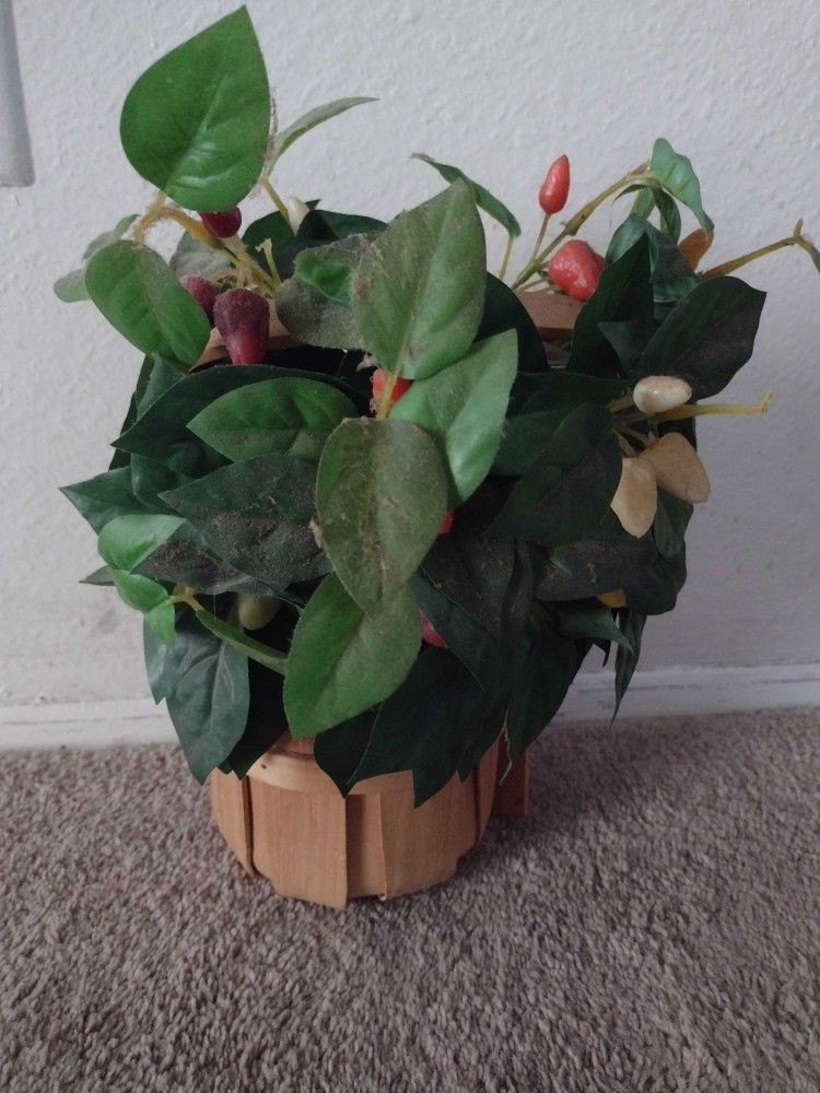 Fake Plant Home Decoration\ Price$25\Speedway n Rosemont area\ PICK up Only