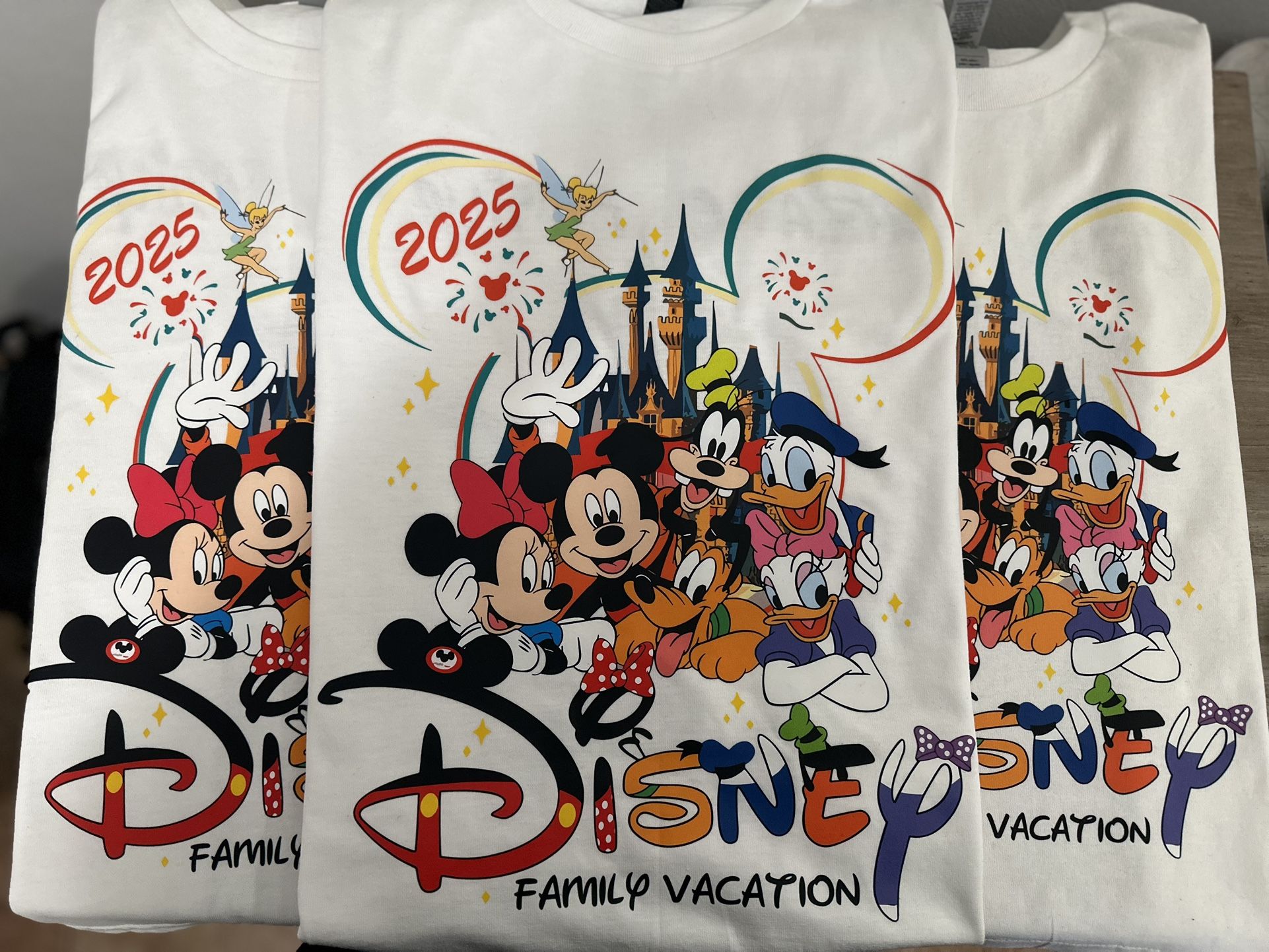 Disney Family Vacation