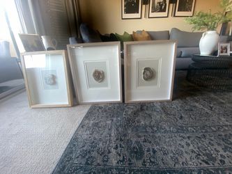 Set of 3 Framed Agate Slice Shadow Box Wall Art