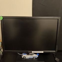 Dell 20 Inch Monitor 