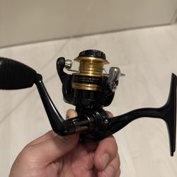 Fishing daimo reel