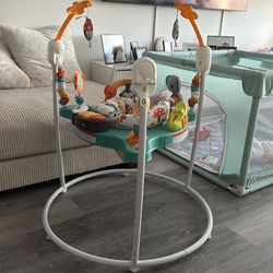 Fisher-Price Baby Bouncer