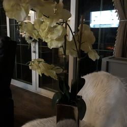 Beautiful Tall Faux Orchid 