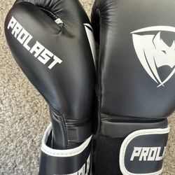 Prolast Boxing Gloves 