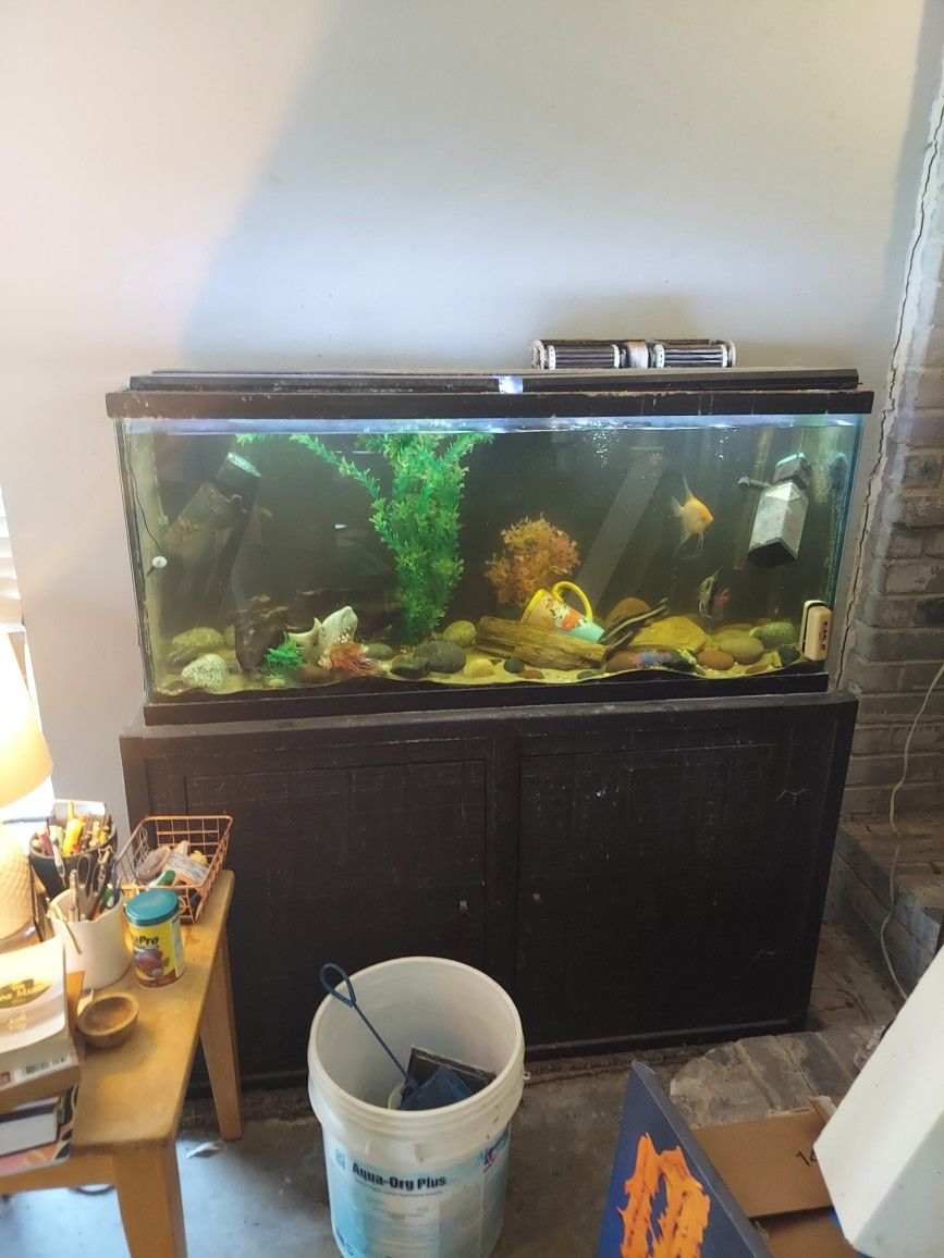 65 Gallon Fish Tank-works-used