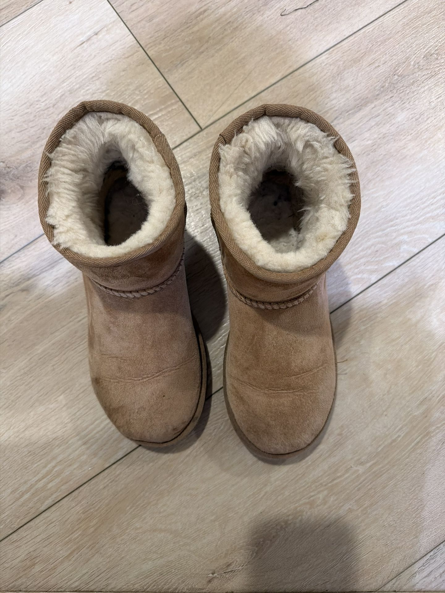 Ugg Shoes 