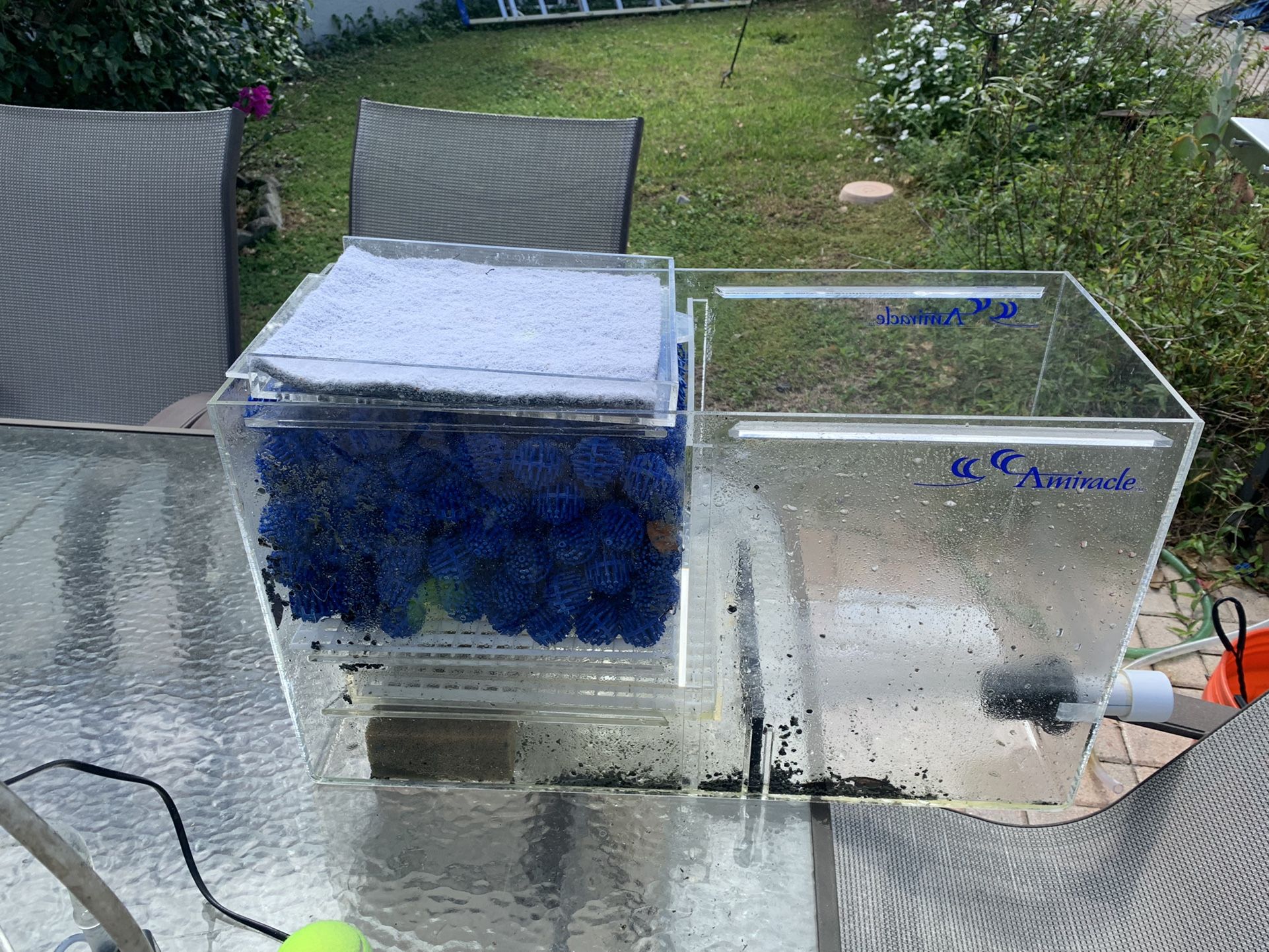 Salt Water Filtration System Including Bio Balls 
