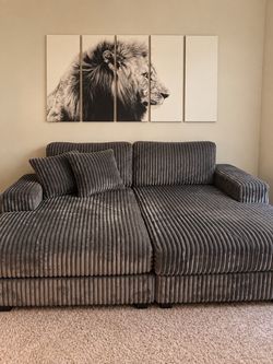 Gray Sofa Bed – Like New