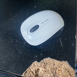 Microsoft Wireless Mouse