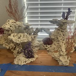 Aquarium Corral Set Ups fish tank