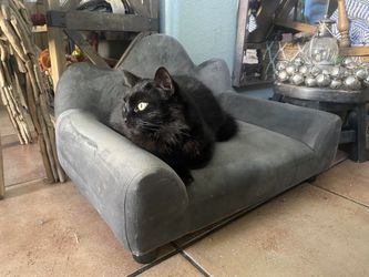 pet loveseat sofa 