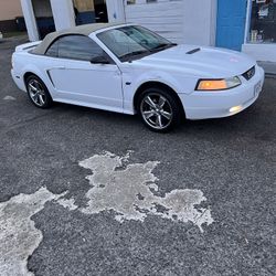 2002 Ford Mustang