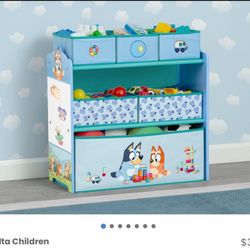 New Bluey 6 Bin Toy Organizer 