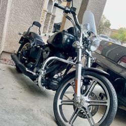 2005 Hadley Davidson Soft tail night train