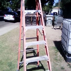6ft Ladder 
