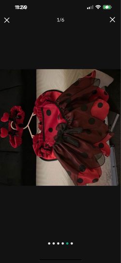 SÚPER CUTE LADY BUG DRESS COMPLETE SIZE 6TO 9 MONTHS.