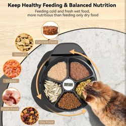 Automatic Cat Feeder Wet Food