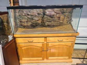 55 Gallon Aquarium w/ Stand