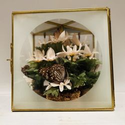 crowning touch terrarium 