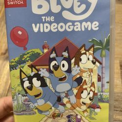 Bluey The Videogame Nintendo Switch 