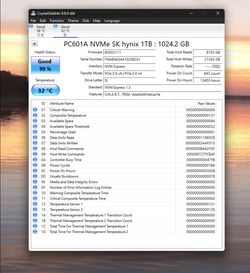 1 TB SK Hynix NVME