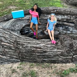 Camping Barbie Dolls!