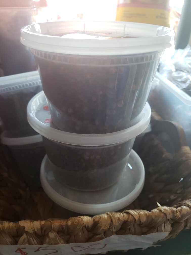 real Haitian clove and other spice.