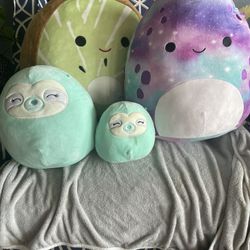 Squishmallows 
