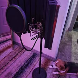 Microphone Shield With Mic Stand, Shock Mount And Mic Filter