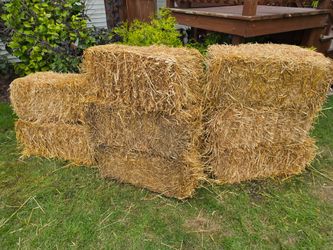 Straw bales only $10 each