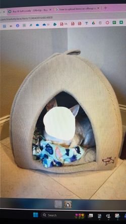 [NEW] beige dog bed