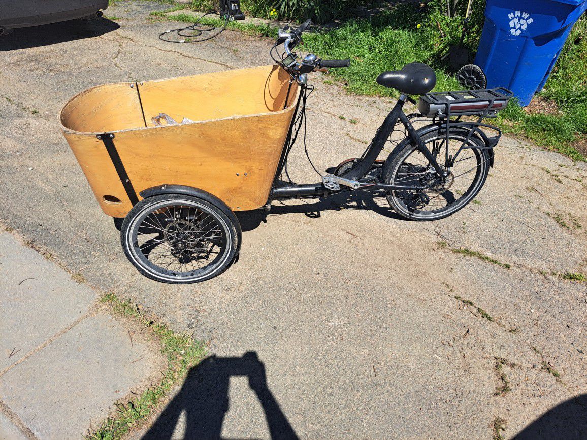 Cargo Tricyle Electric  Bike 