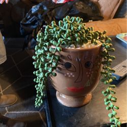 Artificial Succulent Plant 9”x6” Looks Real 