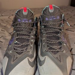 LeBron Xl Nike Shoes Size 13