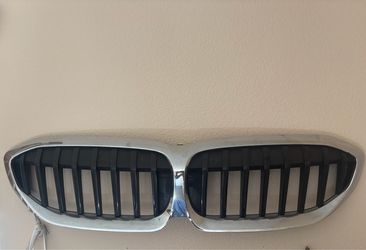 BMW front grille