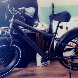 Rad Rover  6 Plus Ebike