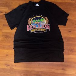 Vintage Princess Cruises Ketchikan Alaska Creek Street Graphic T-shirt