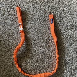 Bungee Dog Leash