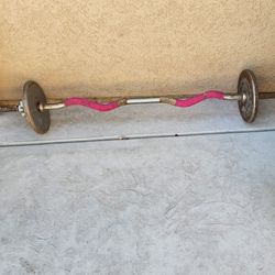 Curl Bar 