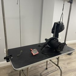 Dog Grooming Table, Blower & Brush