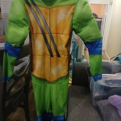 Disfraz Tortuga Ninya