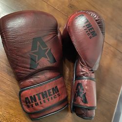 Anthem Athletics Boxing Gloves
