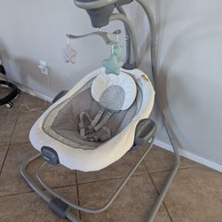 Graco Baby Swing And Bouncer