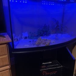 Fish Tank For Sale