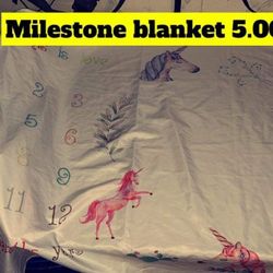 Baby Milestone Blanket
