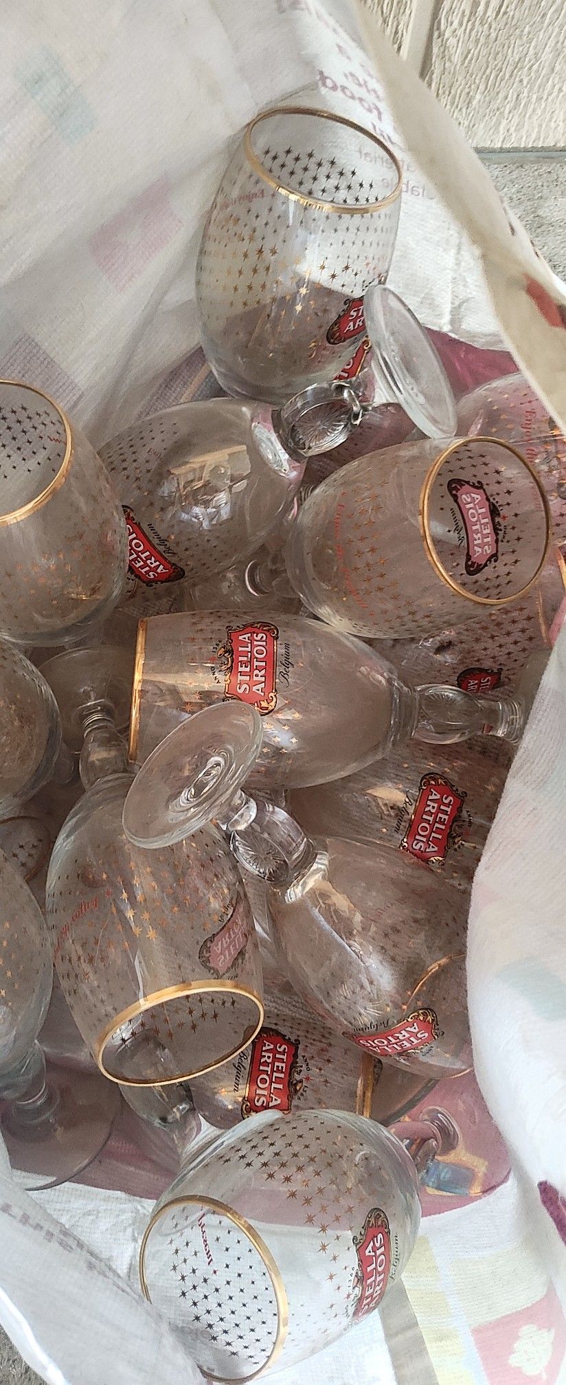 Stella Glasses