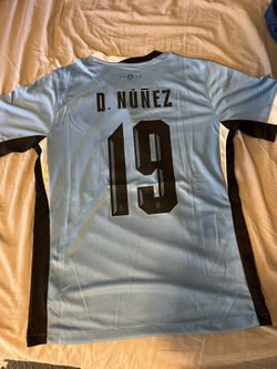 Darwin Núñez Uruguay