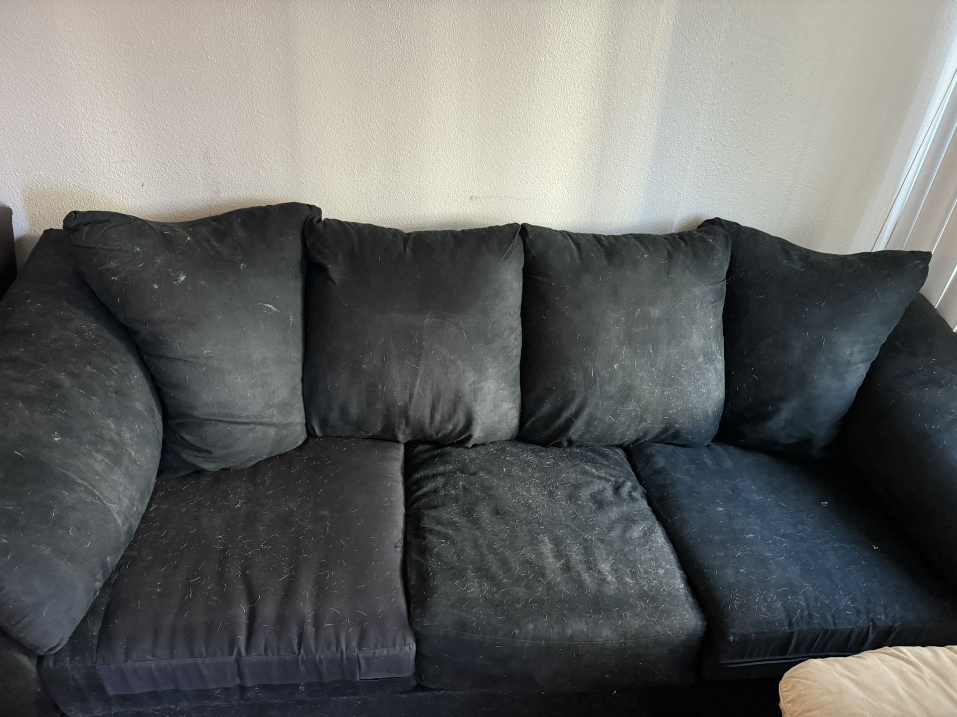 Free Microfiber Couch