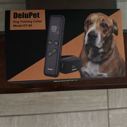 Dog training collar 